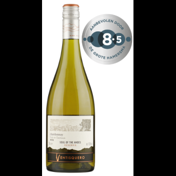 Ventisquero Reserva Chardonnay