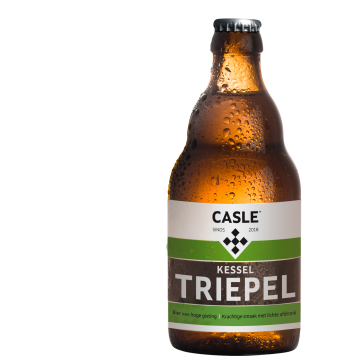 Kessel Triepel