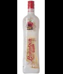 Berentzen Winter Apple